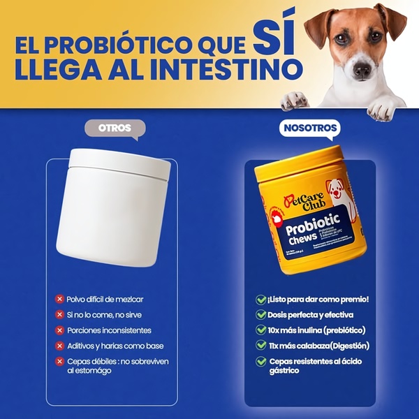 This ad creative uses a clear split-screen comparison to highlight the superiority of PetCare Club Probiotic Chews over generic powdered alternatives.